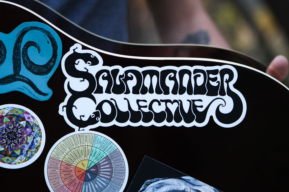 Salamander Collective Sticker