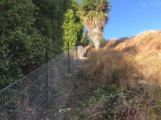 Lansdcape Fencing