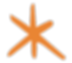 Artboard 11 copy 4.png