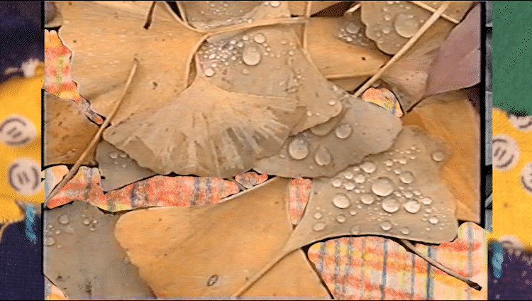 berries4.gif