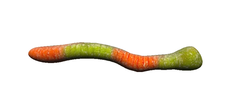 worm.gif