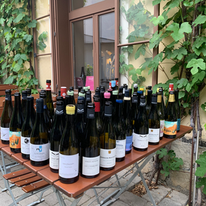 Unsere Top 10 Weine des Jahres 2025 mit vielen verschiedenen Weinen aus dem Burgund, dem Jura, dem Piemont der Südsteiermark,  Österreich und der Champagne