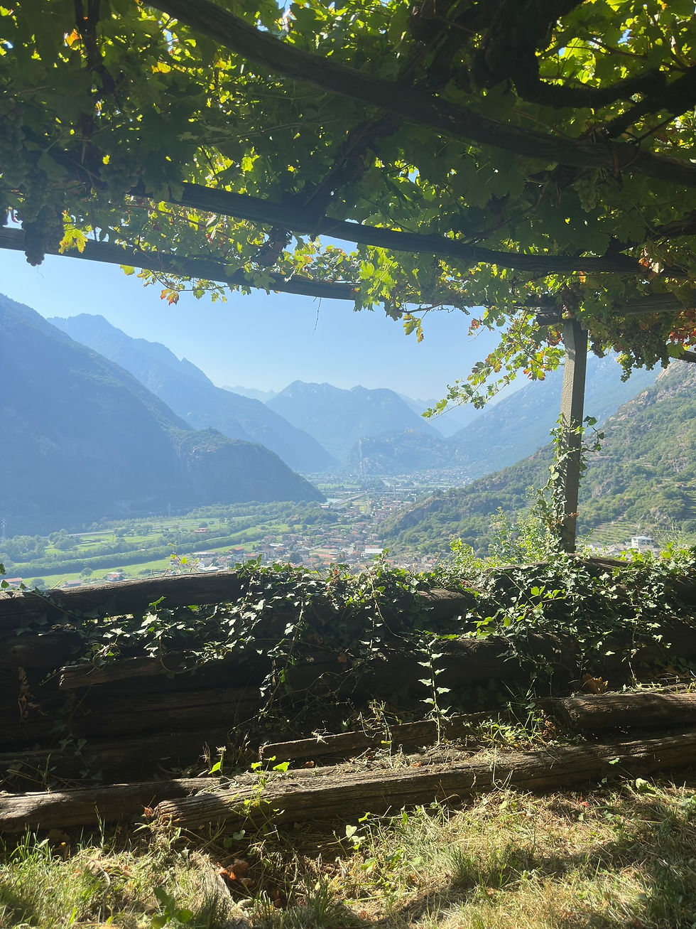 Eine Entdeckung aus den Bergen: Muraje