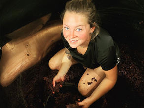 Von der Maison zur Domaine