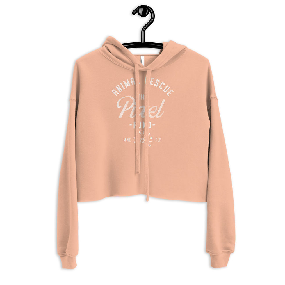 Thumbnail: Vintage Logo Crop Hoodie