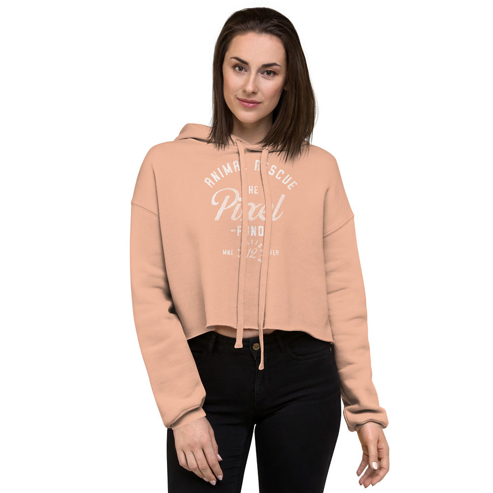 Thumbnail: Vintage Logo Crop Hoodie