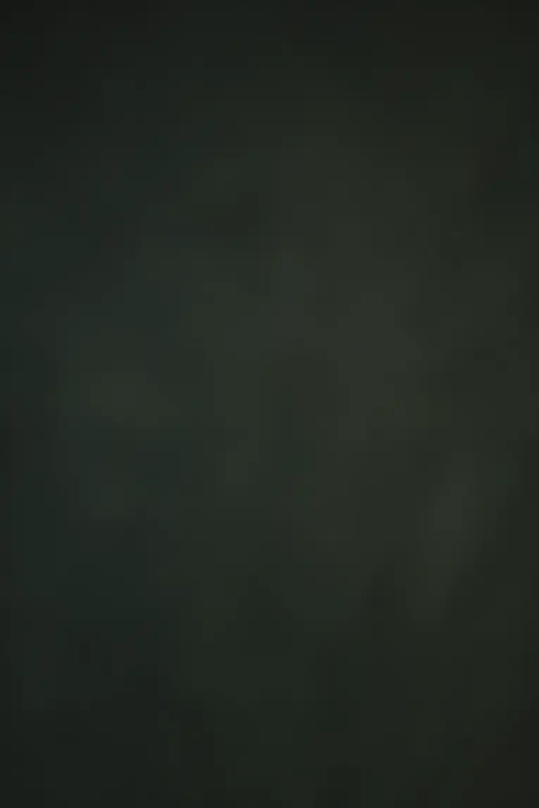 backdrop+black (1).webp