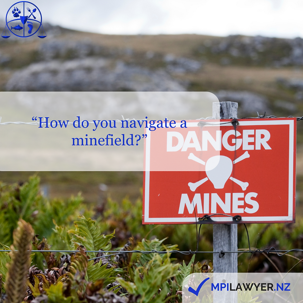 "How do you navigate a minefield?"
