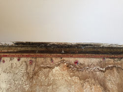 File Nov 05, 12 25 51 PM.jpeg