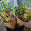 Thumbnail: Market Bouquet
