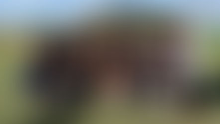 【差し入れ】お菓子を頂きました🎁