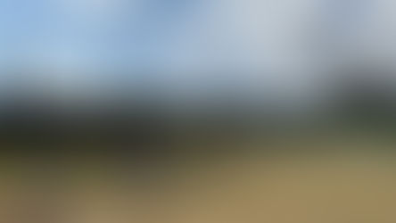 【イベント】徳之島町の少年少女たちまた一緒に野球しようね！