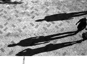 Litigation IQ Shadow Juries