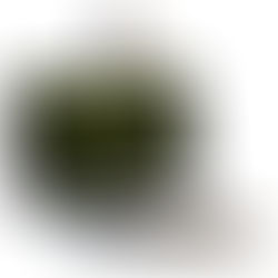 Bildschirmlesegerät Occasion