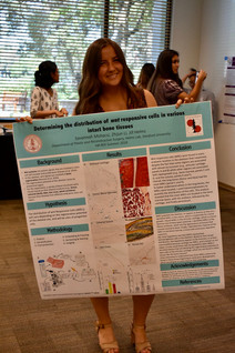 Research in the Department of Plastic Surgery