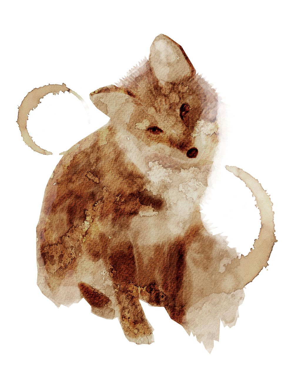 Coffee Fox 2