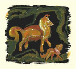 Ursa Major and Minor