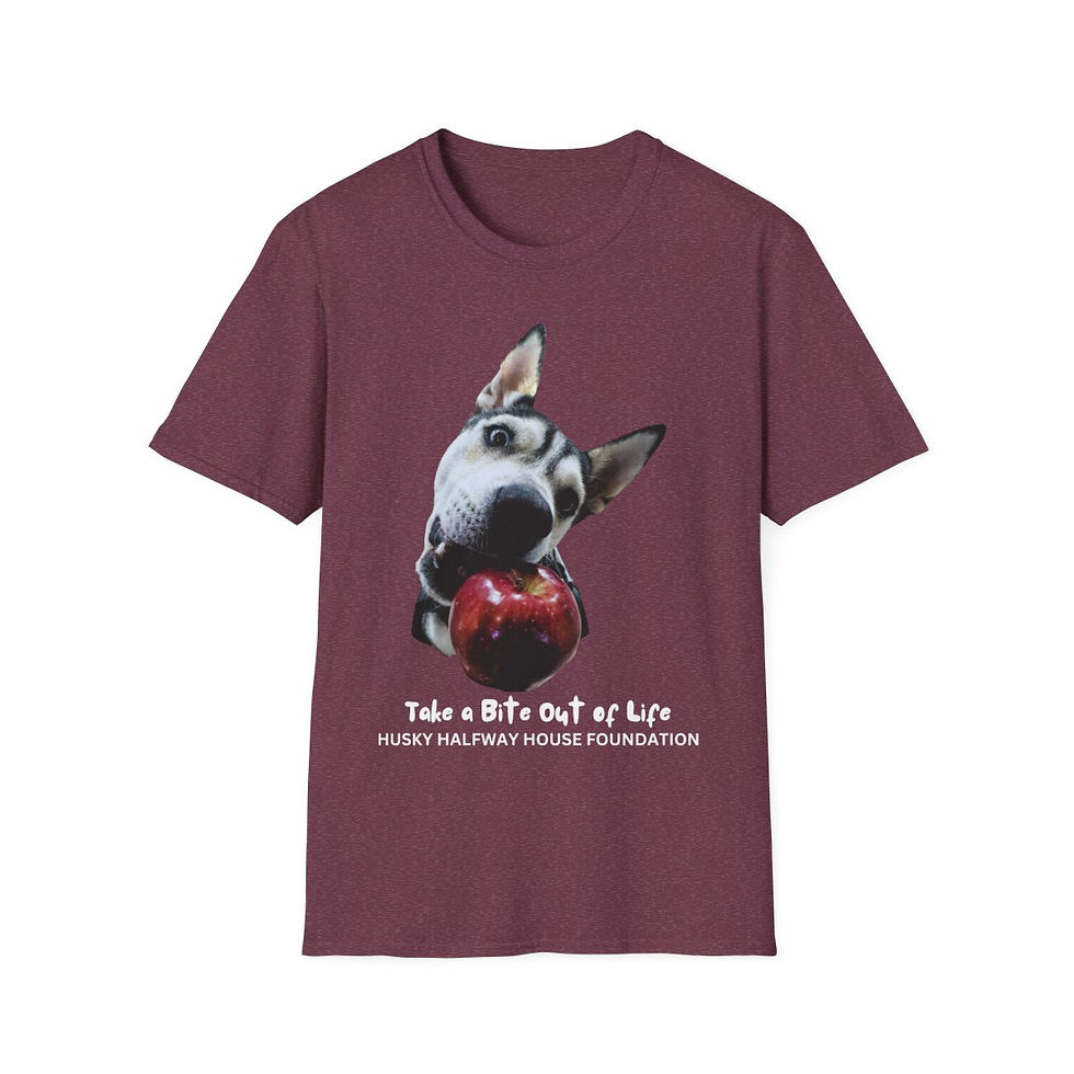 Thumbnail: Ruby's Unisex Softstyle T-Shirt