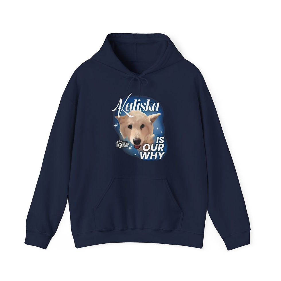 Thumbnail: Kaliska is Our Why Unisex Hoodie