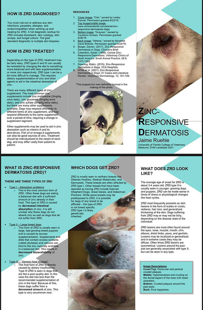 Zinc Responsive Dermatosis in Huskies