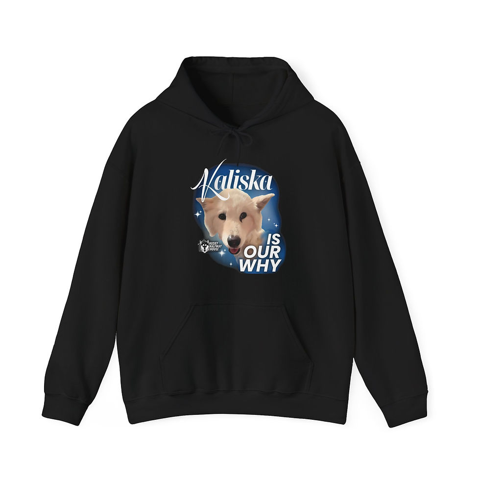 Thumbnail: Kaliska is Our Why Unisex Hoodie