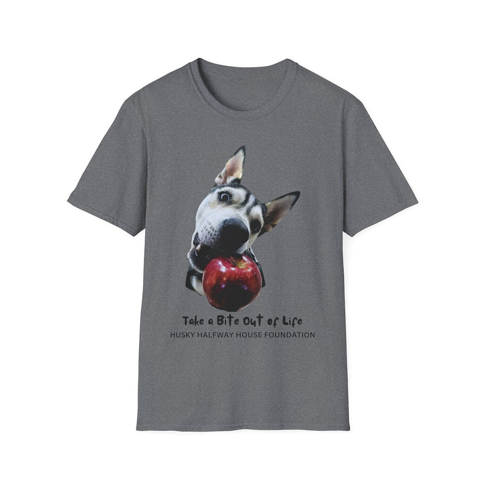 Thumbnail: Ruby's Unisex Softstyle T-Shirt