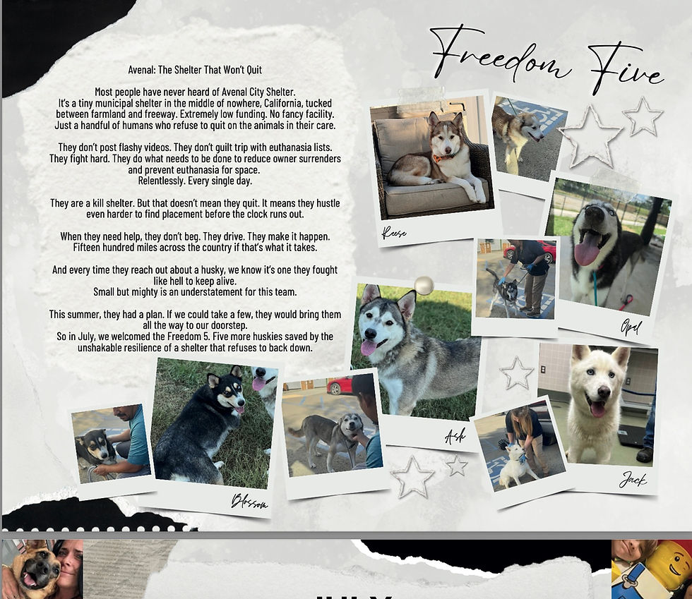 Support Husky Halfway House