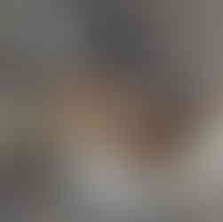 240地球戰隊-海鳥-塑膠垃圾