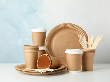 Bagazo Allproducts catalogue [Recovered].png