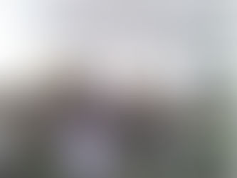 旅美科协成功举办就业职场分析和应聘技巧免费讲座