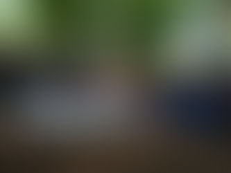 旅美康州科协组织参加由康州华人科技界联合组办的夏日野餐活动并为中国旅美科协总会10月在康州举行的26届年会造势