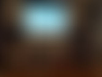 科技创新与国际合作论坛暨中国旅美科技协会康州分会2017年会成功召开