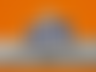 Just a Government Employee in a Shutdown