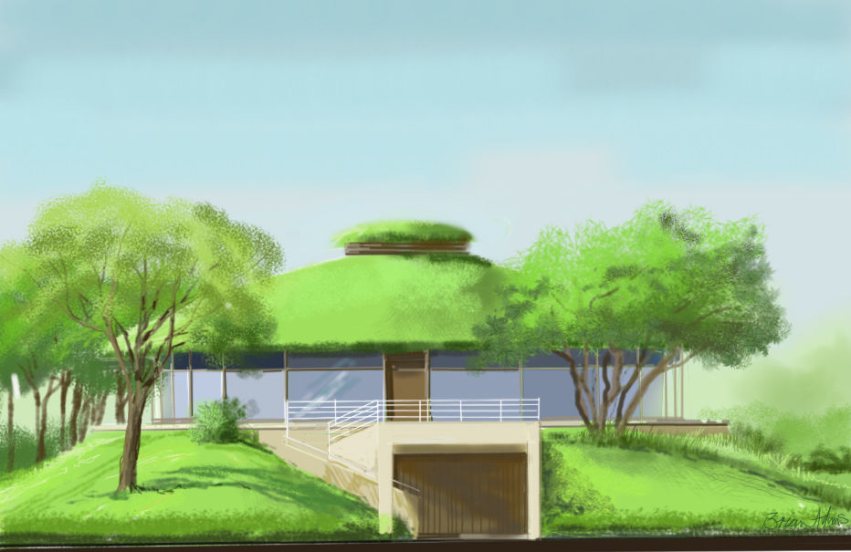 Eco-house