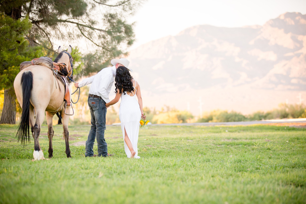 Jean Phillips Photography
