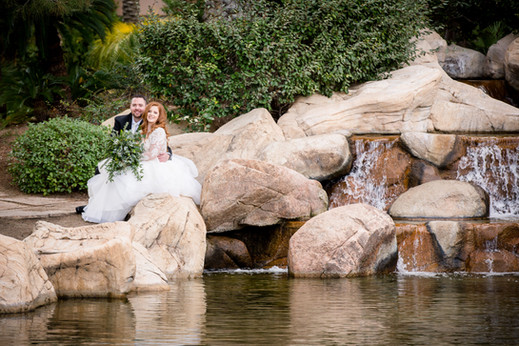 Jean Phillips Photography