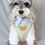 Thumbnail: Dog Harness Vest and Leash Set