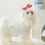 Thumbnail: Dog Wedding Dress Set