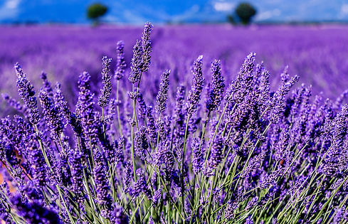 ab39ba1b-fa6f-48ee-a298-6b67e181d49b-istock-1074963688.jpg