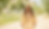 schaefer_de2024_93306_edited.png