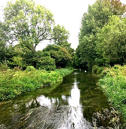 Winchester Shawford 3_edited.jpg