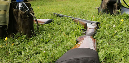 Simulated game shoots Hampshire