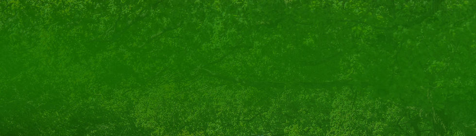 COMMEMORATIVE CONVOYS BACKGROUND copy_edited.jpg