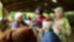 Broadlands Group RDA Medstaed - Riding for the Disabled
