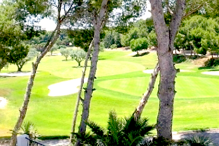 Villa Martin Golf Course pic.png