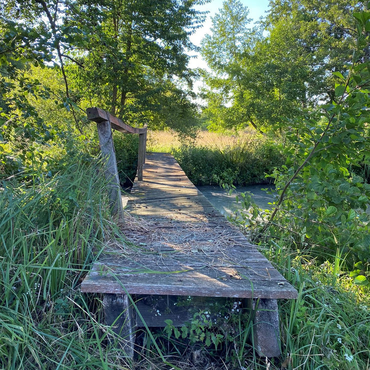 Pont Marais.jpeg