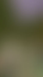 Who Needs a Nightclub