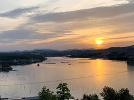 真珠ができるまで