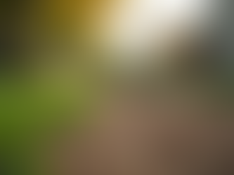 A Step-by-Step Guide to Installing Fences and Gates