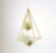 Air plant double holder, airplant himmeli, modern hanging planter, air plant ha